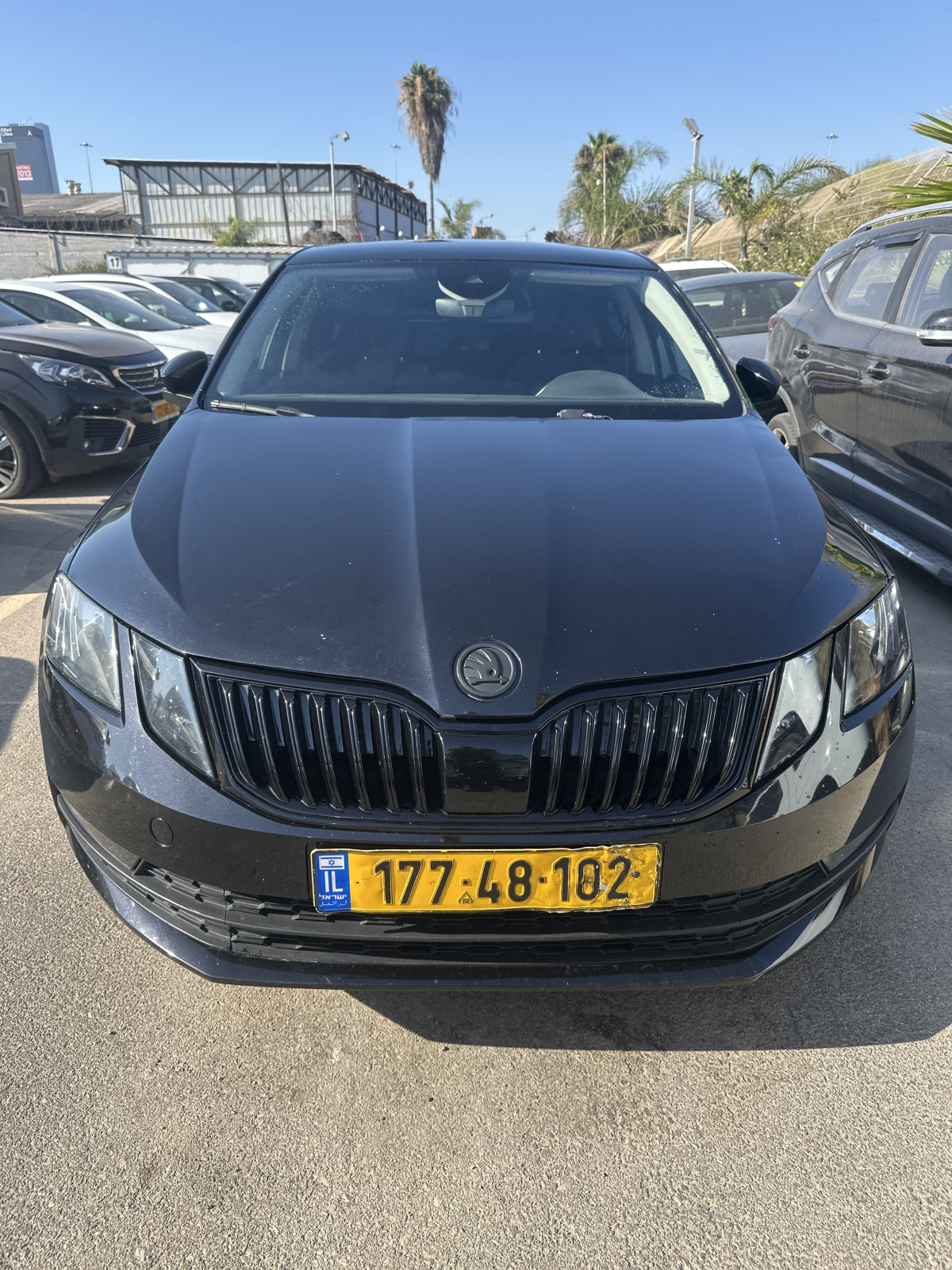 סקודה אוקטביה