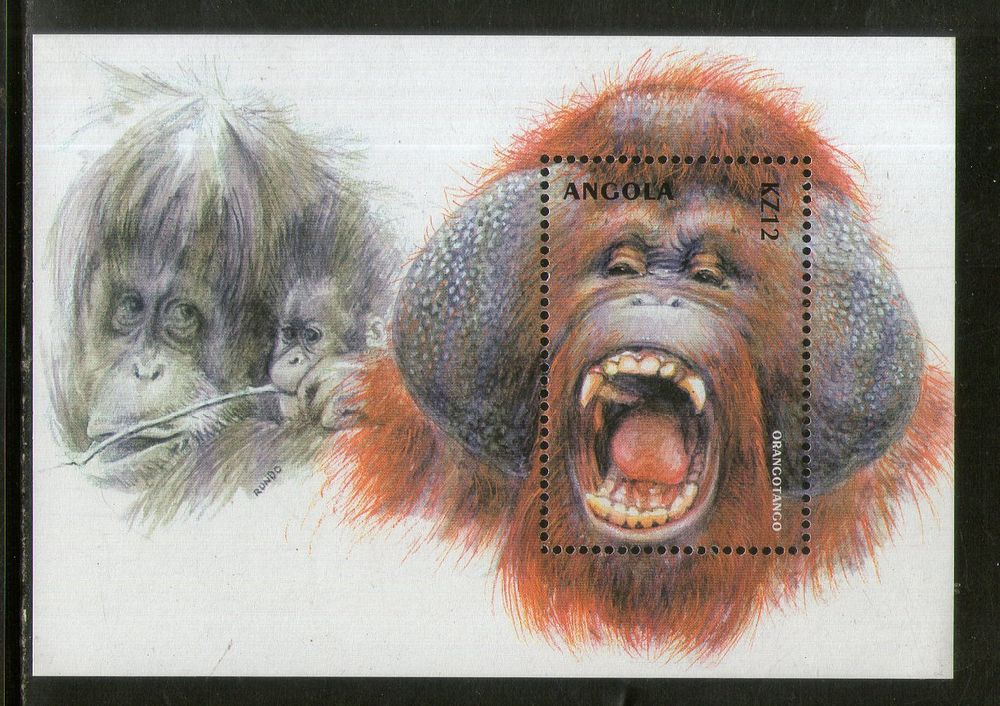 Angola 2000 Orangutan Monkey Wildlife Sc 1135 M/s MNH