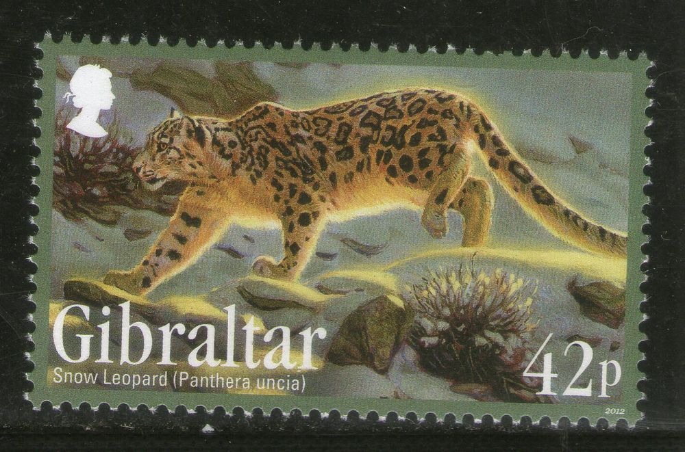 Gibraltar 2012 Snow Leopard Wildlife Endangered Animal Sc 1357 MNH