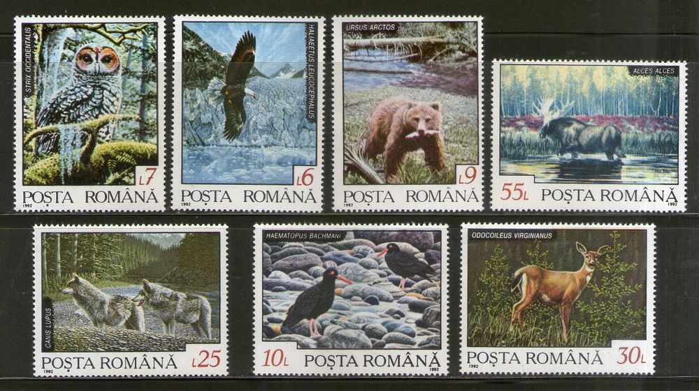 Romania 1992 Owl Eagle Bear Wildlife Birds Animals Sc 3782-88 MNH