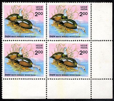 India 1985 (May 18) White Winged Wood Duck 2Rs. in mnh mint block of four.
