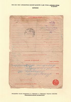 ВОРОНЕЖ. ЛИСТ ВЫСТАВОЧНОЙ КОЛЛЕКЦИИ. ОДНО ОТПРАВЛЕНИЕ