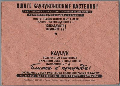 ИЩИТЕ КАУЧУКОНОСНЫЕ РАСТЕНИЯ!. ИДЕАЛЬНОЕ КАЧЕСТВО.