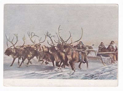 1953. ОЛЕНЬЯ УПРЯЖКА. №5