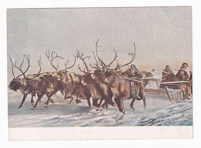 1953. ОЛЕНЬЯ УПРЯЖКА. №6