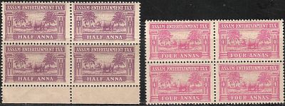 Assam Entertainment Tax Rhino mint blocks. two different values in mint never hinged condition.