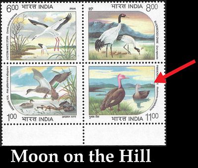 Waterbirds 1994 Moon on the Hill variety. superb error on withdrawn se-tenant issue.