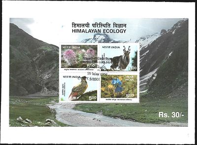 Himalayan Ecology MS FDC. superb Miniature Sheet cancelled by first day postmark on large plain 