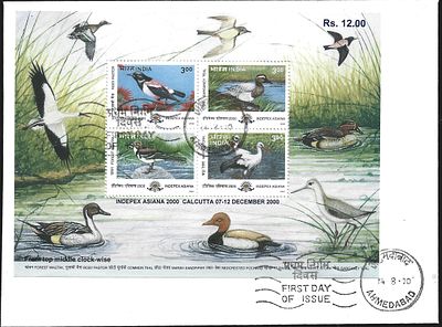 Migratory Birds 2000 Miniature Sheet FDC. the MS was issued months after the stamps but Indian 