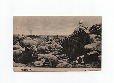 [Иудаика] Открытка "Моисей-пастырь". Начало 20 века.