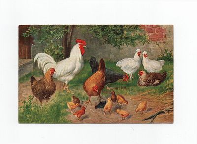 Открытка "Курятник". Европа, 1-я половина 20 века.