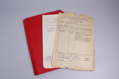 Папка с бумагами Дальневосточного Государственного Университета на имя Э. Л. Шторм. СССР. 1973 - 