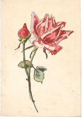 Рисунок "Цветы". Бумага, акварель, тушь. СССР, подпись автора на обороте, 1931 год.