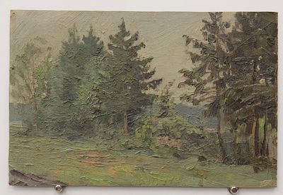 Картина Тальковский В.Г. "Лесной пейзаж". СССР, 1960-е годы. 
Картон, масло. 
Всеволод 