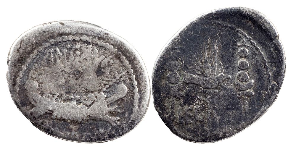 The Roman Republic
Marcus Antonius. Denarius, mint moving with M. Antony 32-31, AR 3.19 g. ANT 