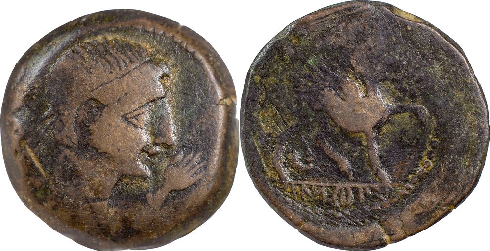 Ancient Hispania
CASTULO. AE As 19.19 g. 2nd Century BC. Obv: Diademed male head right, hand 