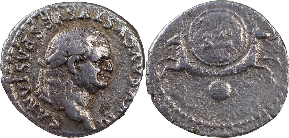 The Roman Empire
Divus Vespasian, died 79. AR Denarius 3.05 g. Rome, under Titus, 80-81. DIVVS 