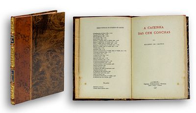 CASTRO (Eug&eacute;nio de) – The Little Box of 100 Shells (A Caixinha das 100 Conchas) – Lumen 