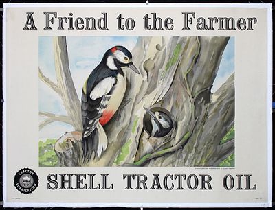 Shell Tractor Oil - A Friend to the Farmer (Woodpecker) by Leonard Appelbee, ca. 1949. Appelbee 