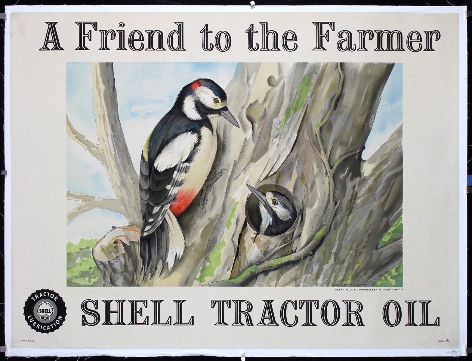 Shell Tractor Oil by Leonard Applebee, 1940s