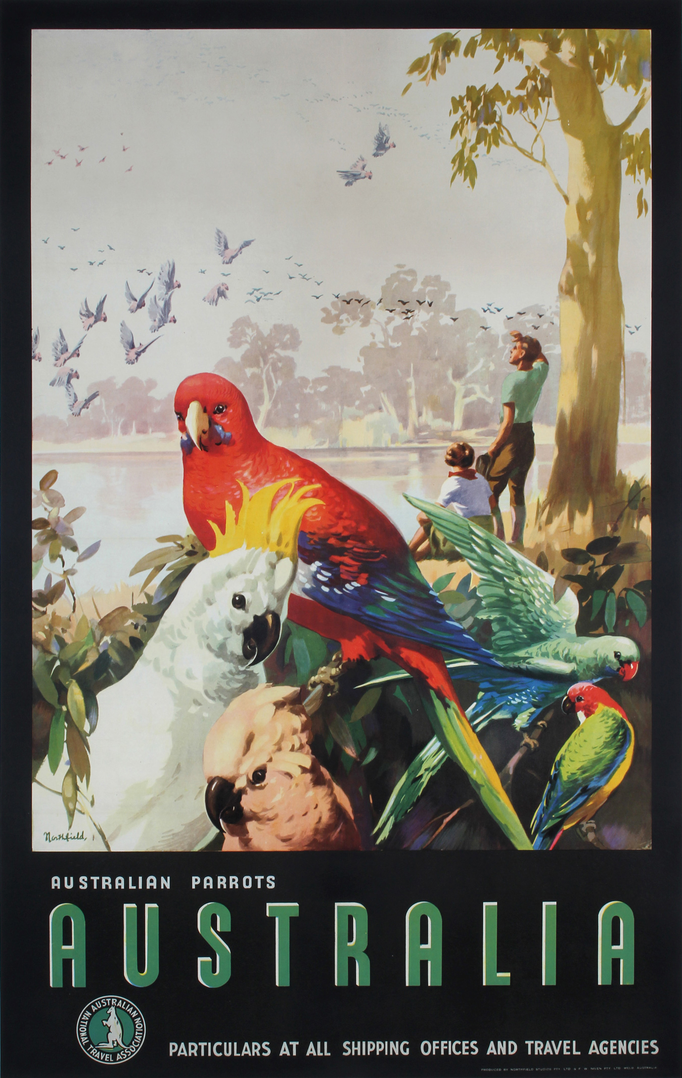 Australia - Australian Parrots by James Northfield, ca. 1935