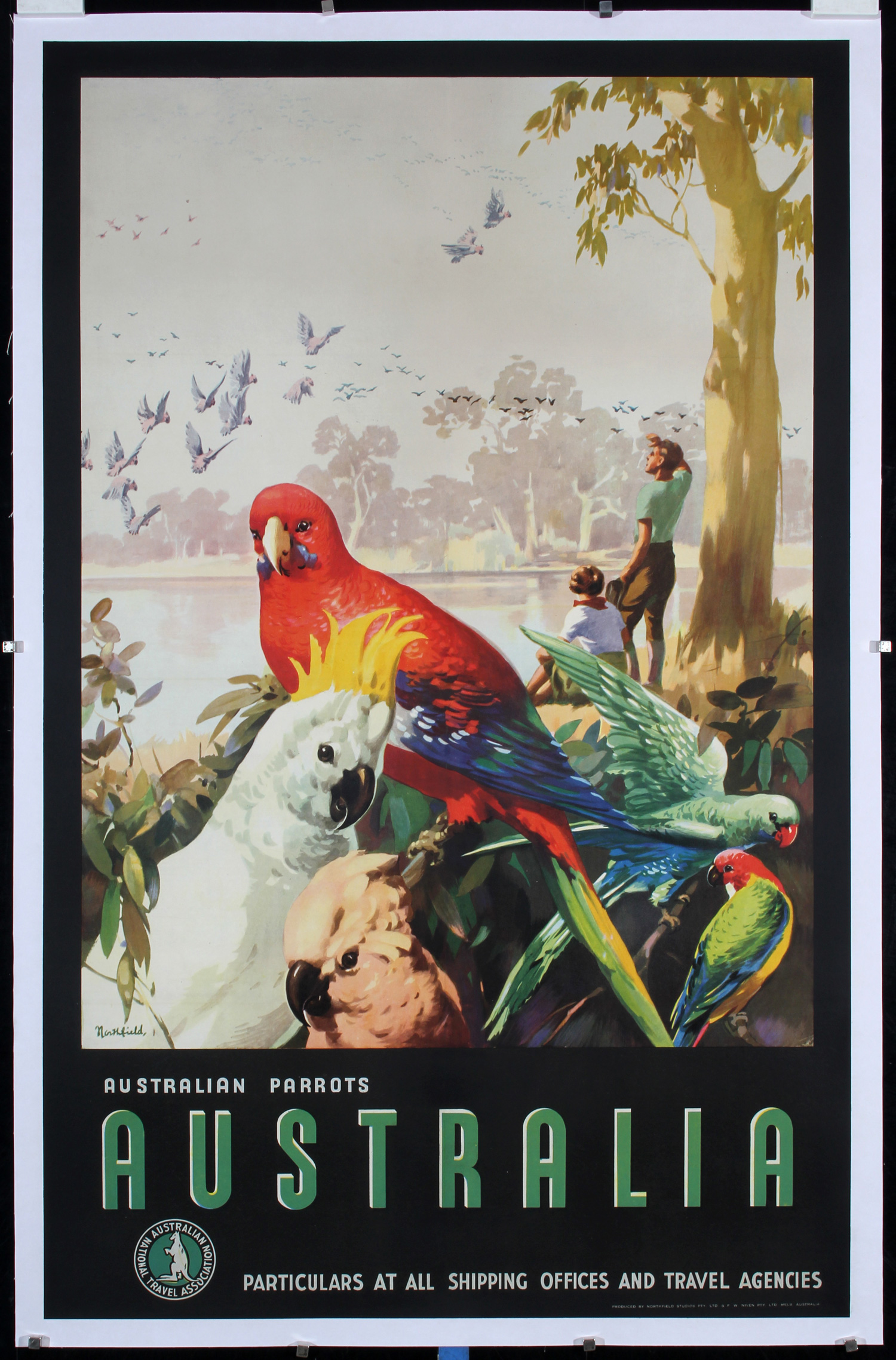 Australia - Australian Parrots by James Northfield, ca. 1935