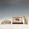 Meerschaum Pipe and Scrimshaw Sperm Whale Resin. Vintage Meerschaum hand carved "Cavalier" pipe Image - 3