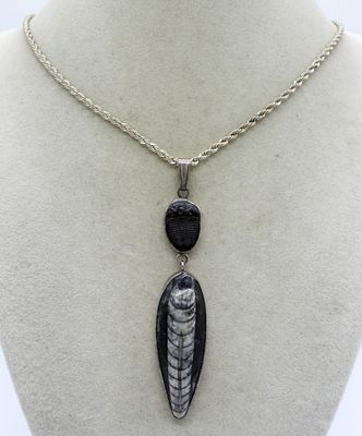 Trilobite & Orthoceras 925 Necklace. Trilobite & Orthoceras Fossil sterling necklace. Pendant is 