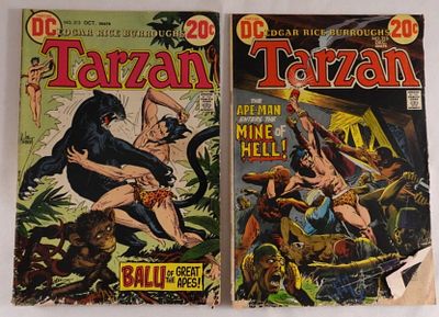 (2) DC Tarzan Comics. They're both in fair condition. Both are 1972, Bronze Age.