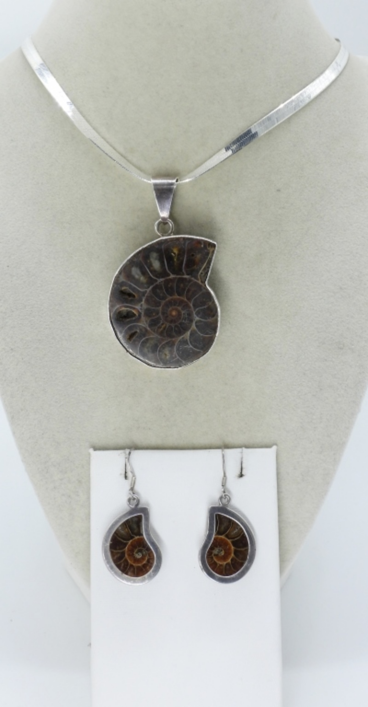 Ammonite Fossil 925 Necklace & Earrings