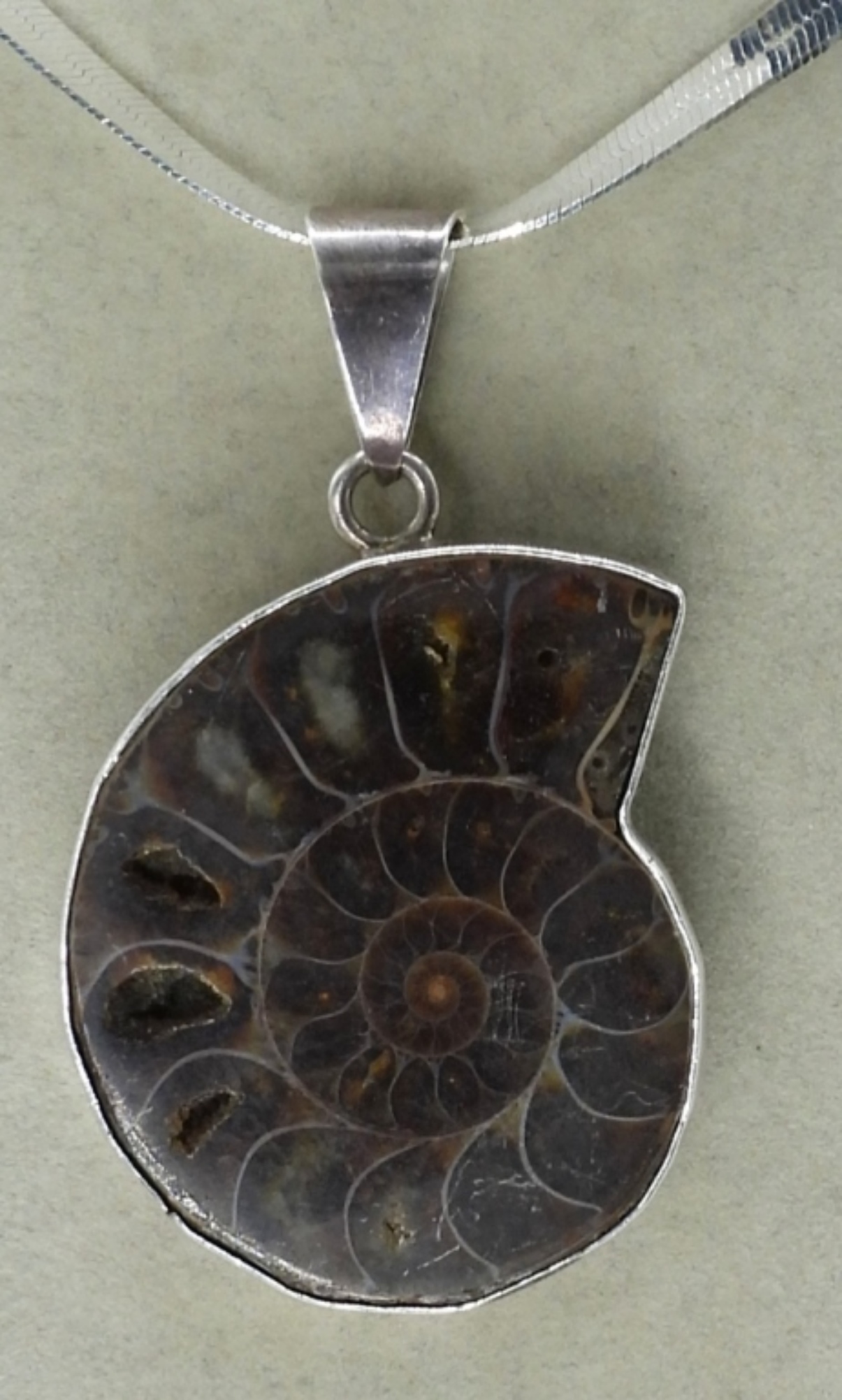 Ammonite Fossil 925 Necklace & Earrings
