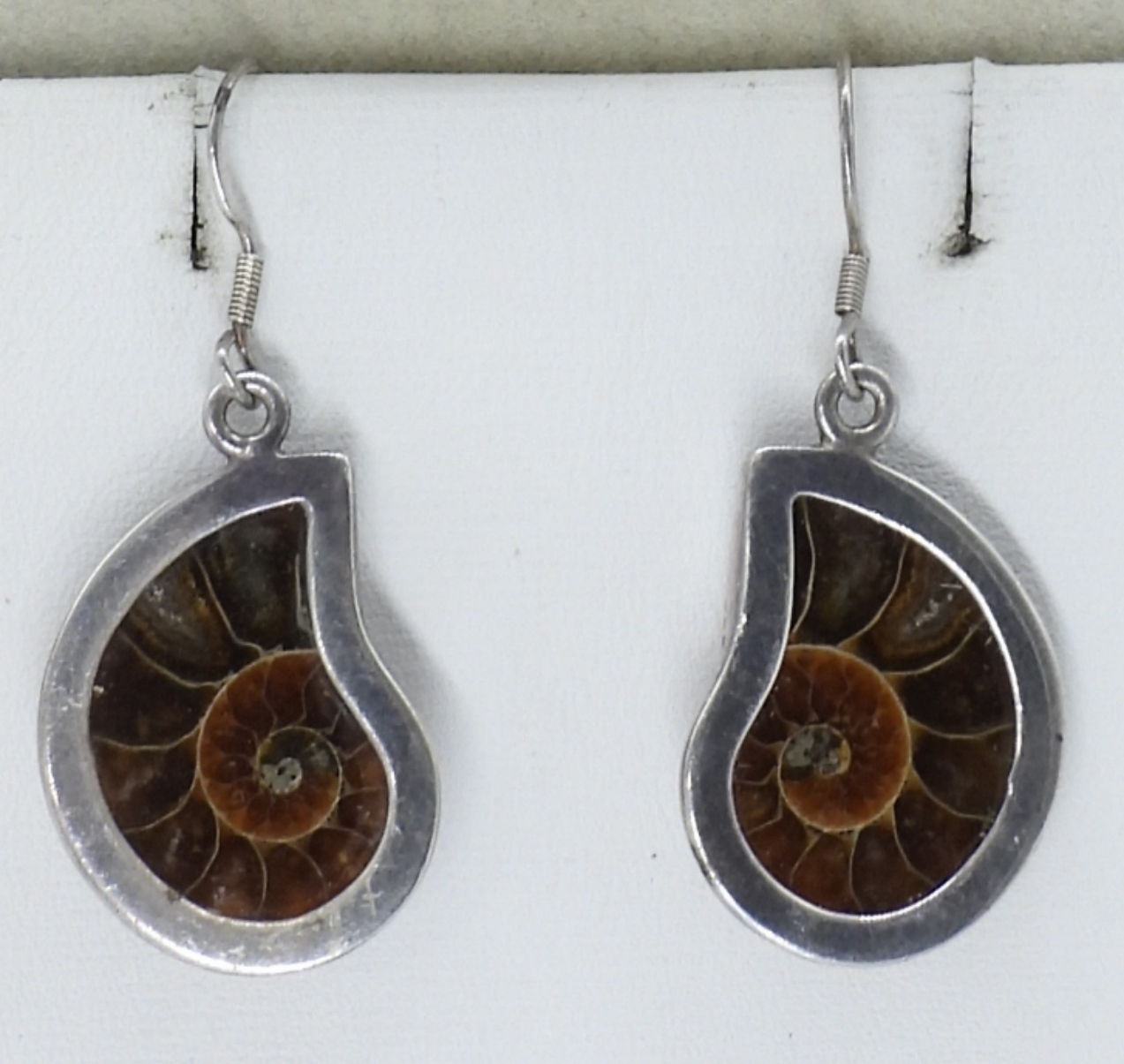 Ammonite Fossil 925 Necklace & Earrings