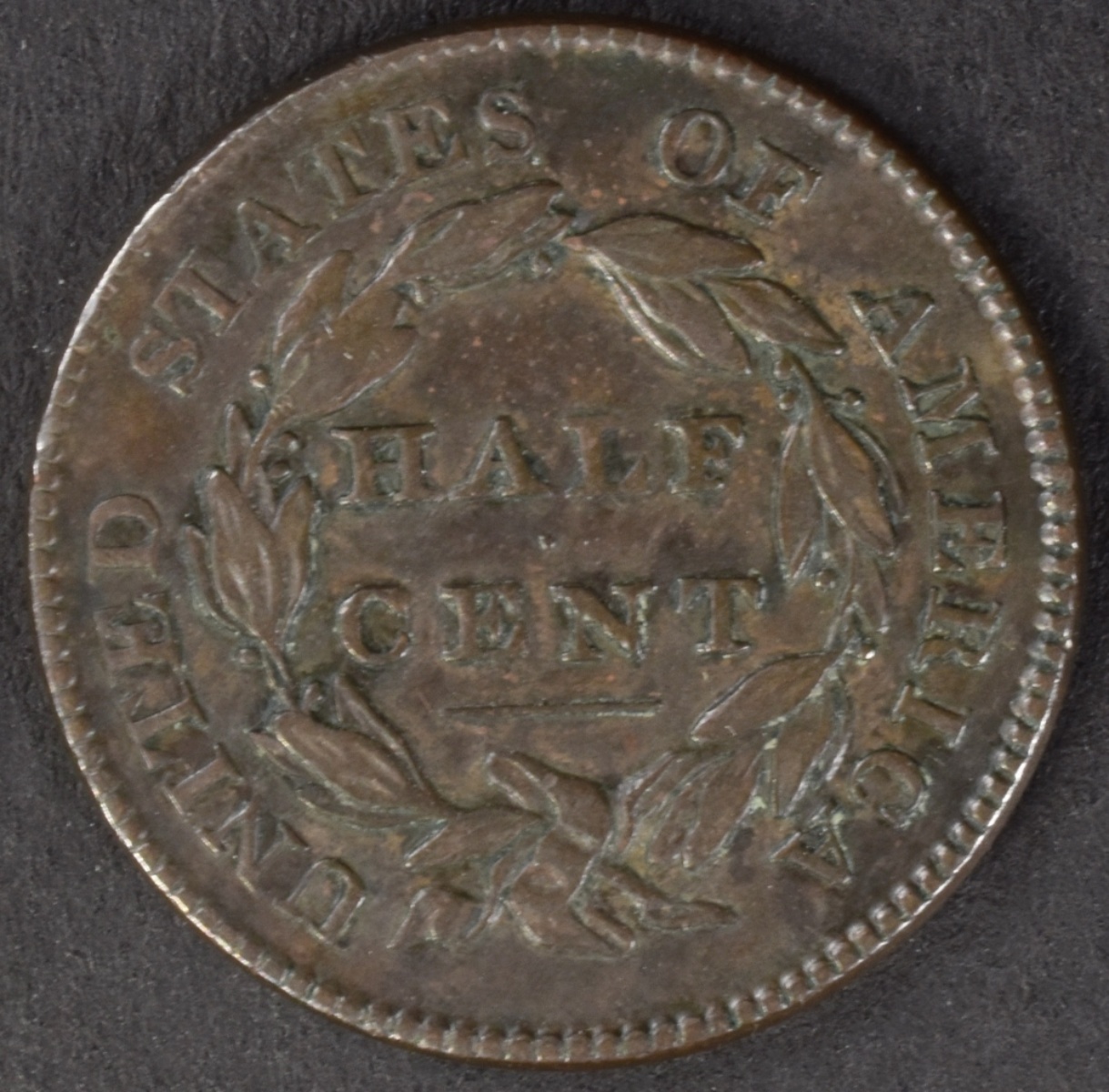 1828 Classic Head Half Cent 12 Stars