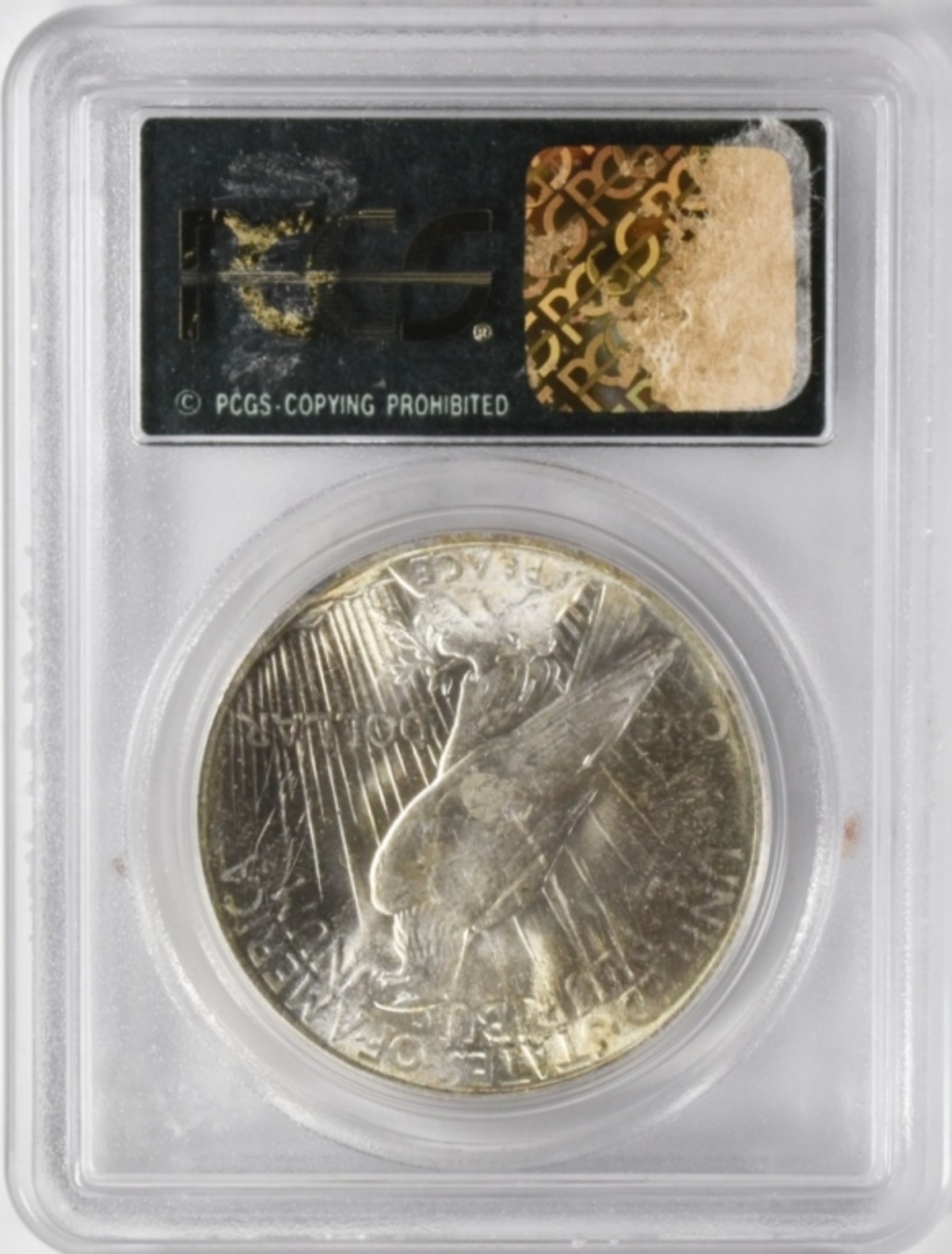 1923 Peace Dollar MS62 PCGS OGH