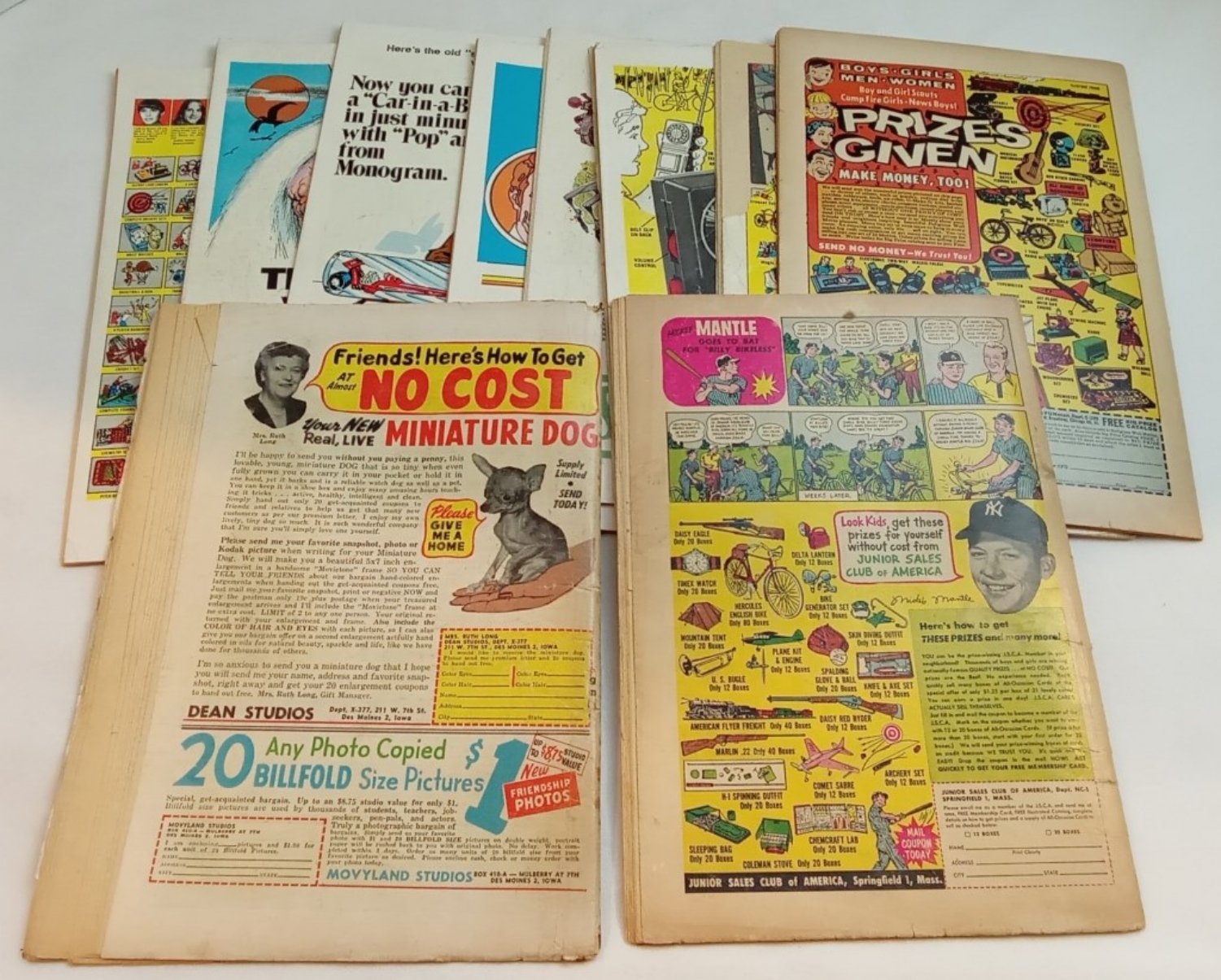 Comic Book Collection Golden/Silver Age 10-Issues