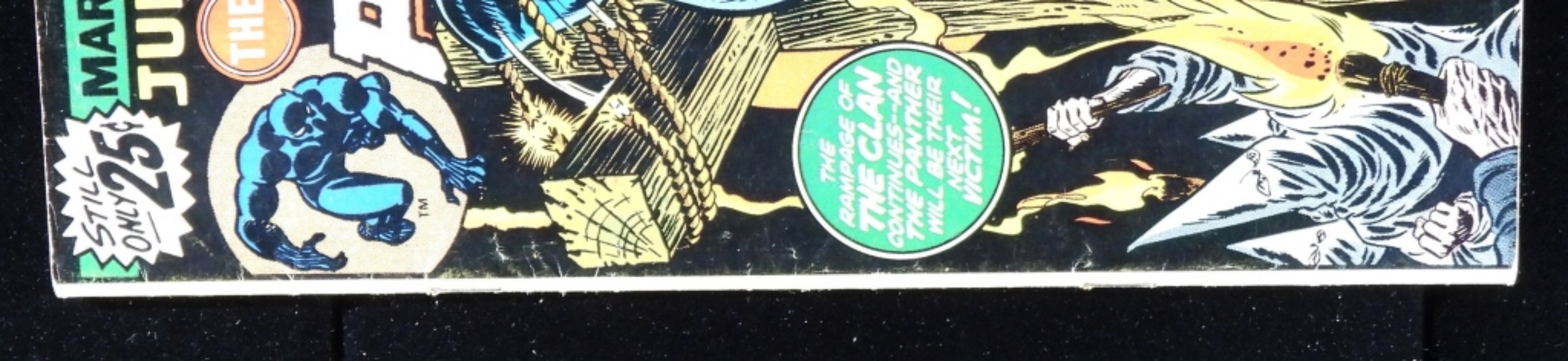 Jungle Action #21 1976 Black Panther