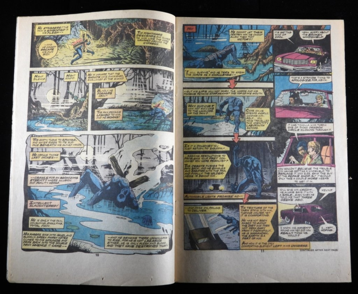 Jungle Action #21 1976 Black Panther