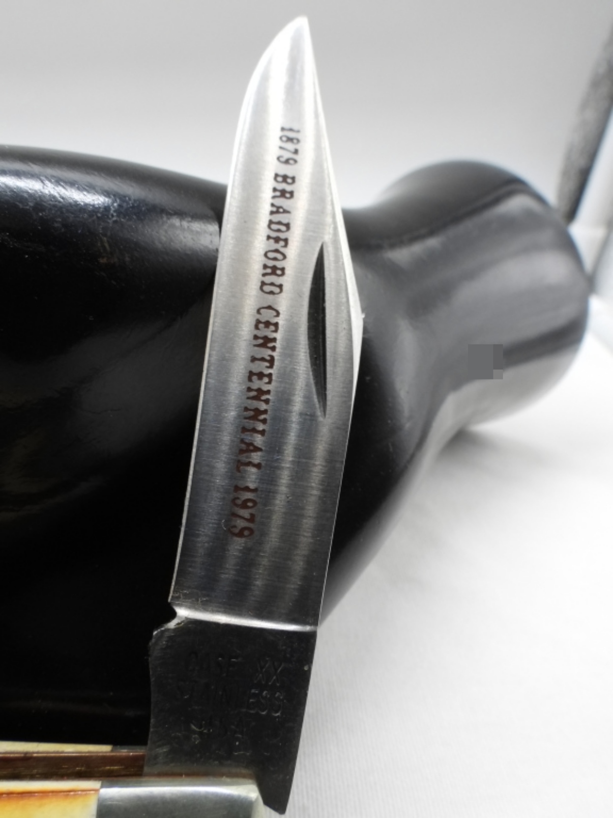 Case XX Trapper, Stag Handle