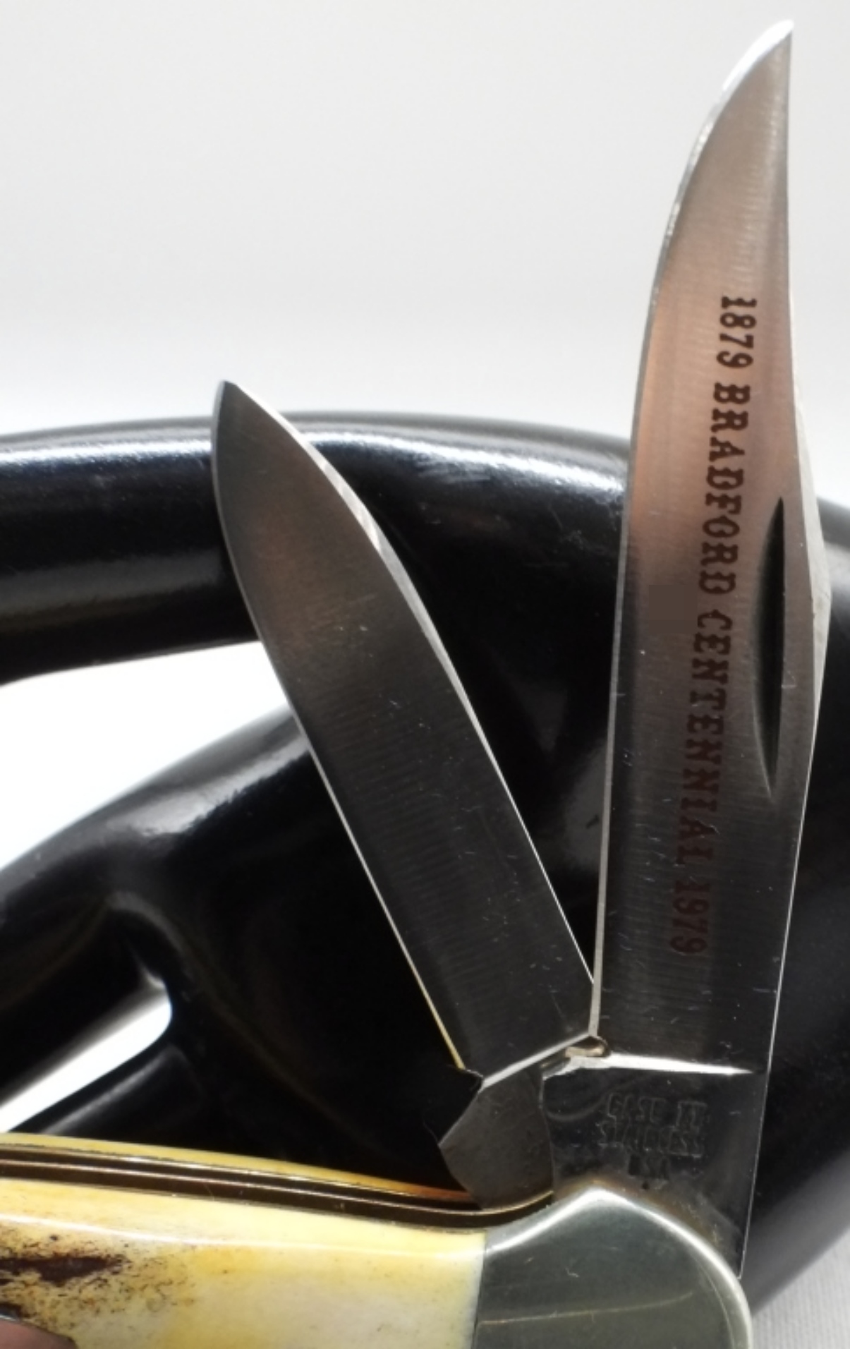 Case XX Trapper, Stag Handle