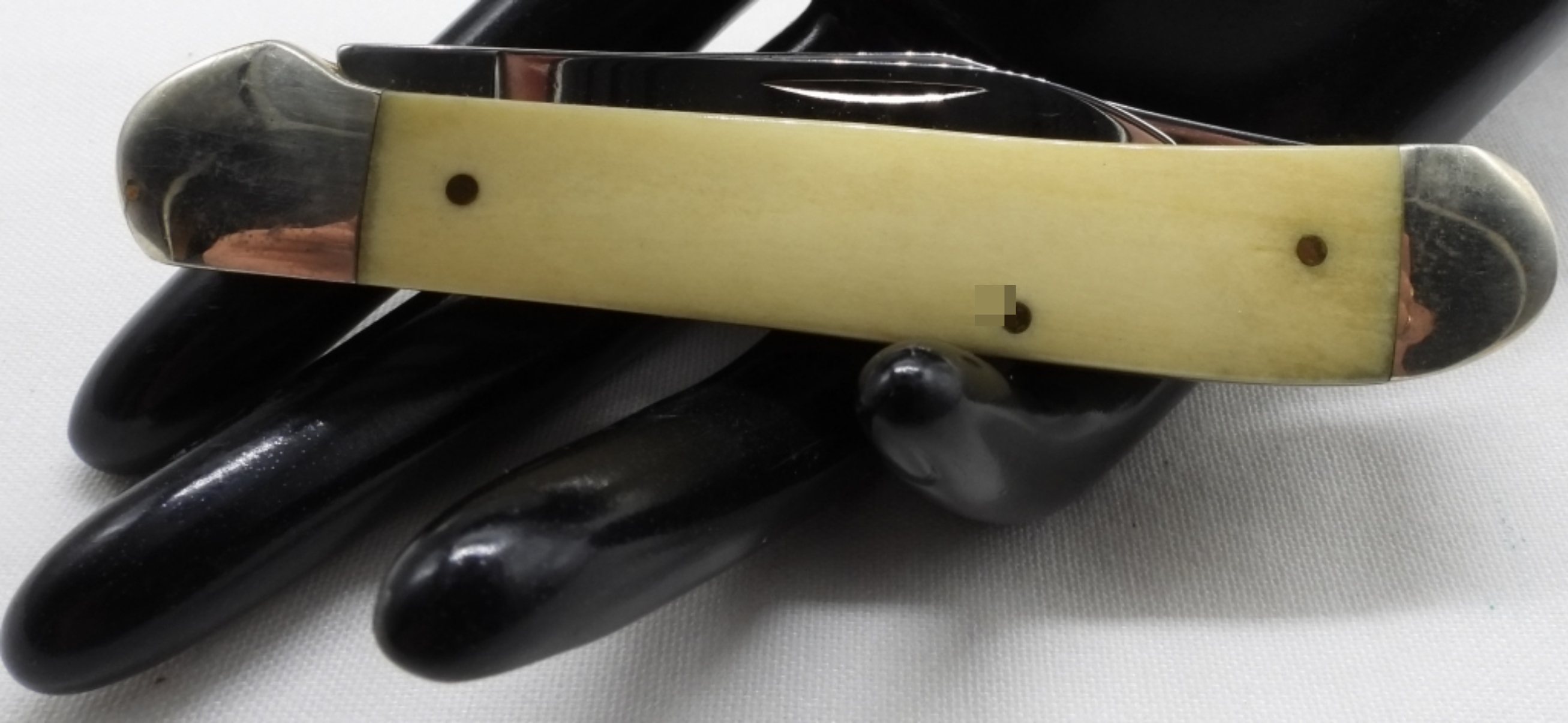 Case XX Scrimshaw Whale Scene Folding Knife #0304
