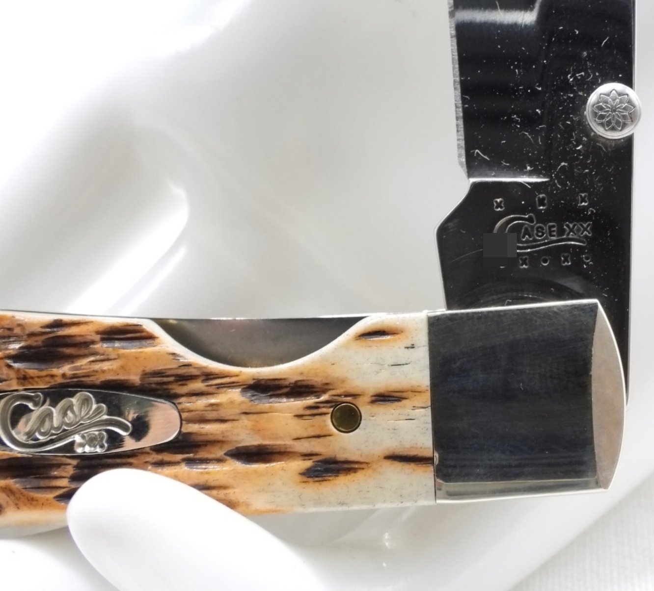 Case XX Trapper, Stag Handle