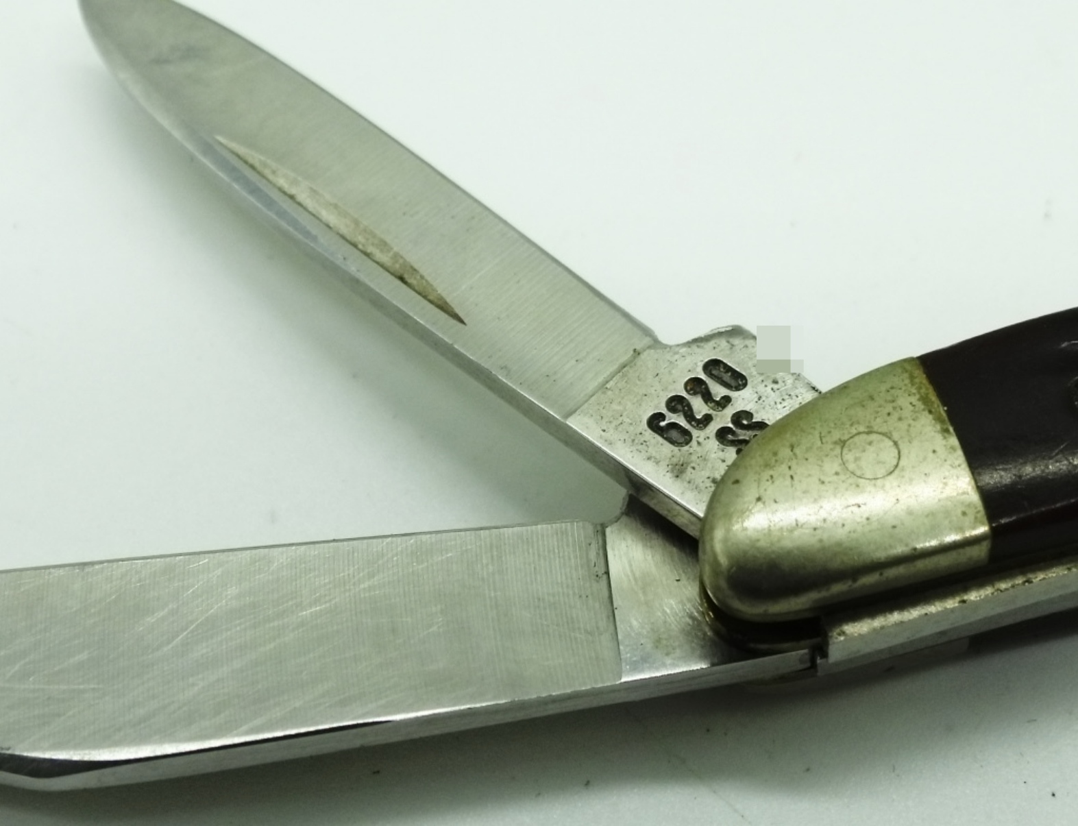 Case XX 6220 Pen Knife, Jigged Bone Handle