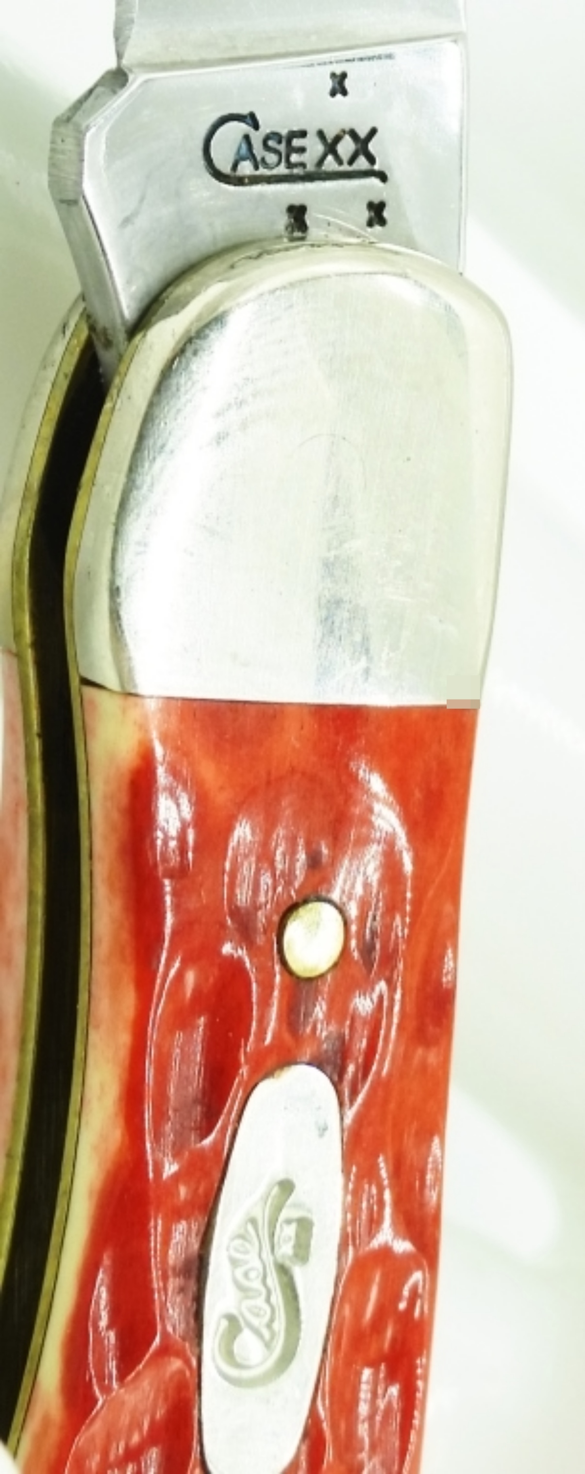 Case XX Folding Knife with Red Bone Handles