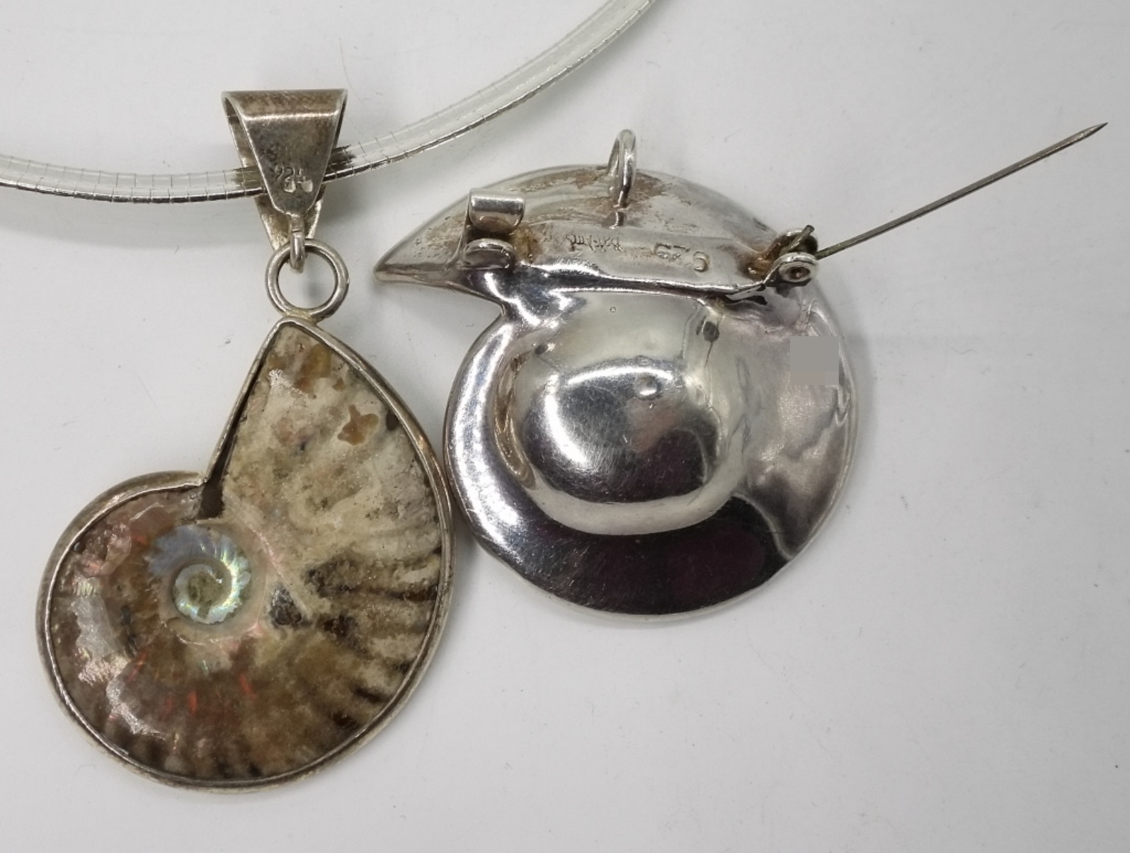 Sterling Ammonite Pendant & Nautilus Brooch