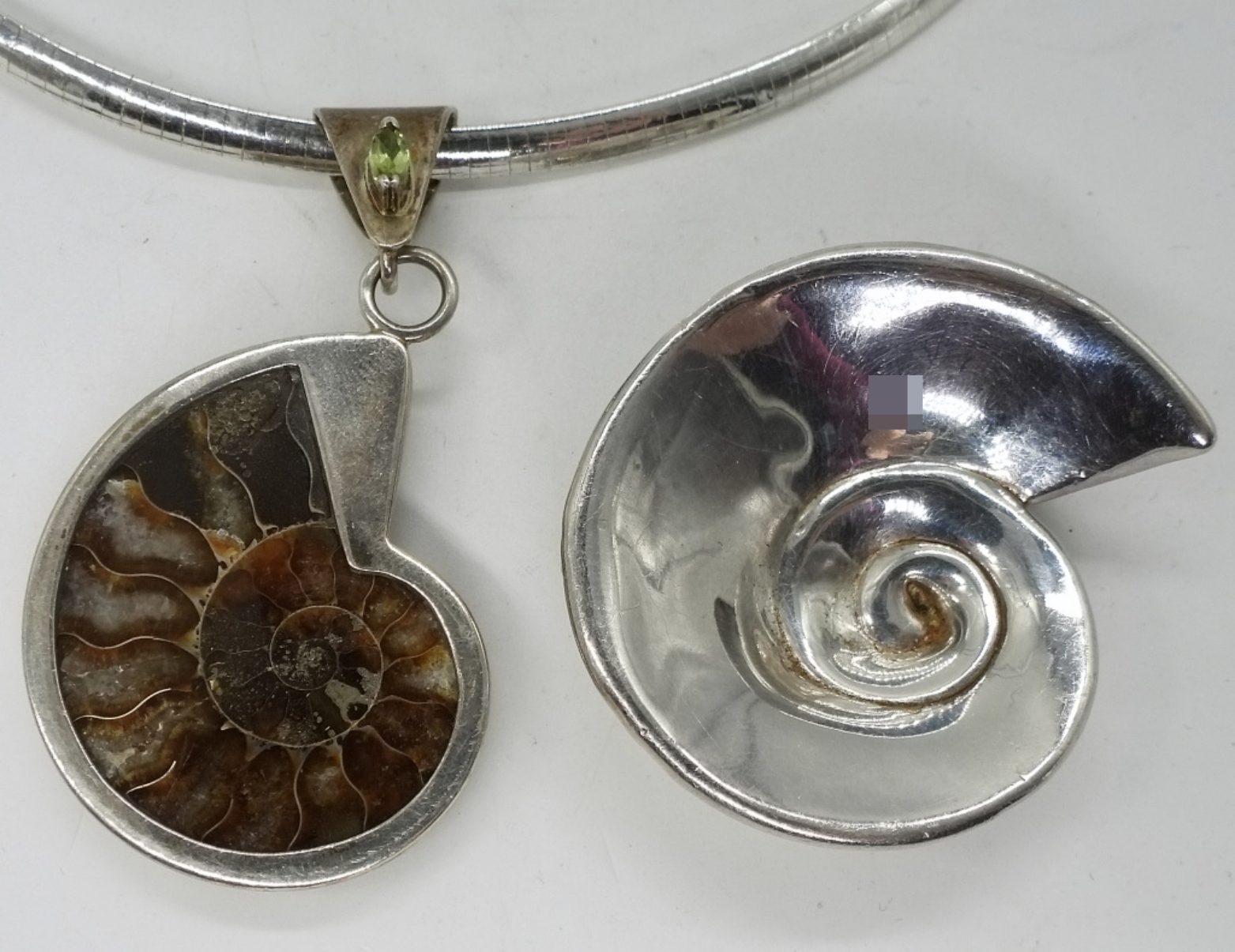 Sterling Ammonite Pendant & Nautilus Brooch
