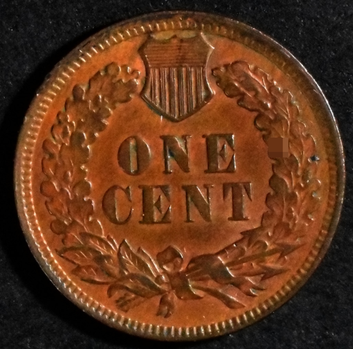 1900 Indian Head Cent