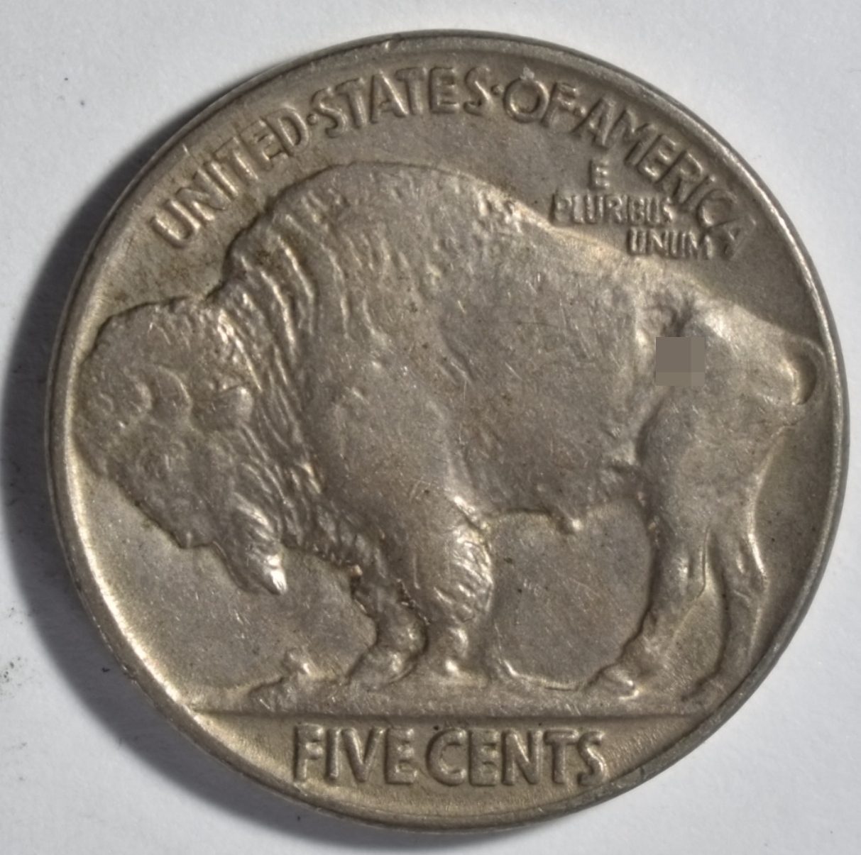 1924 Buffalo Nickel