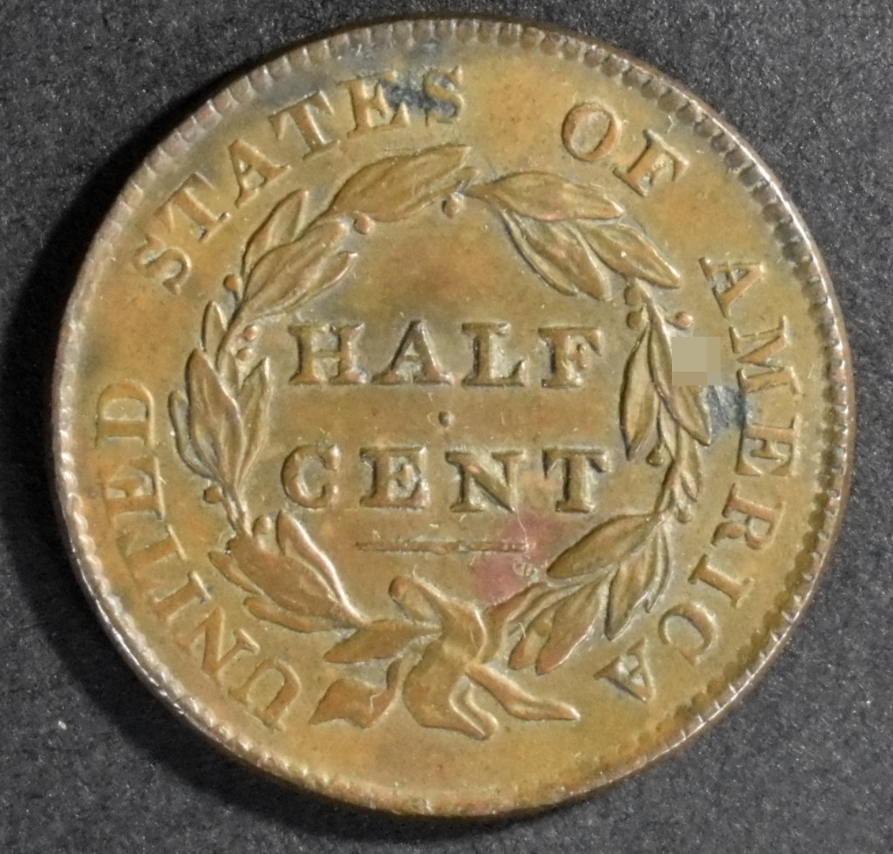 1828 13 Stars Classic Head Half Cent