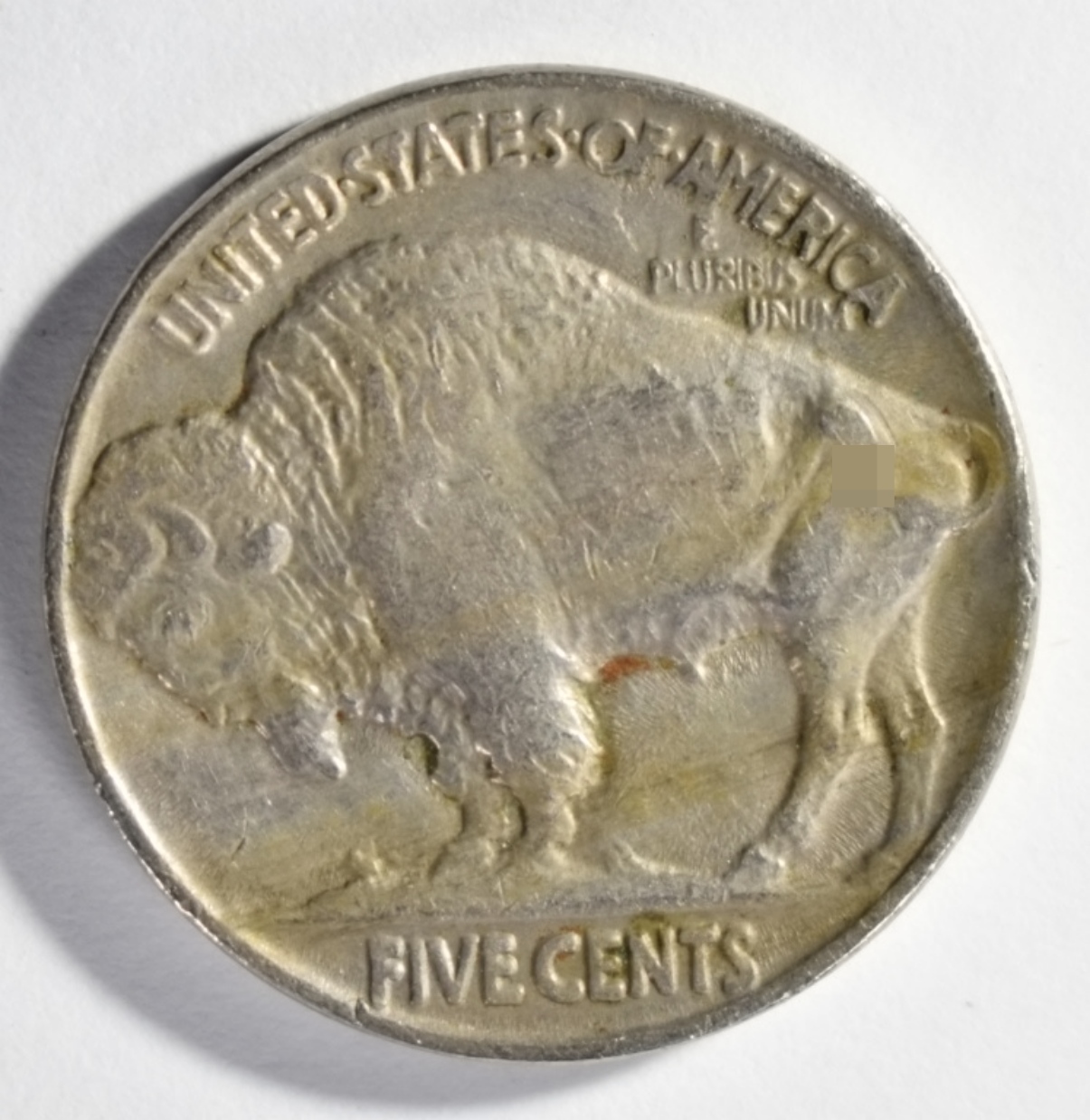 1924 Buffalo Nickel