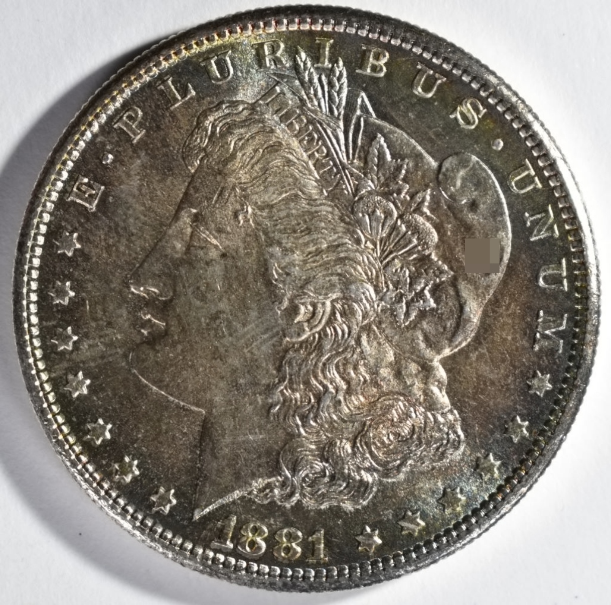 1881-S Morgan Dollar Toned